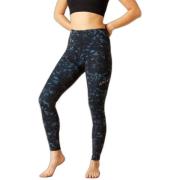 Legging Ariat Legging équitation full grip femme Eos Print