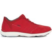 Sneakers Geox Baskets Nebula