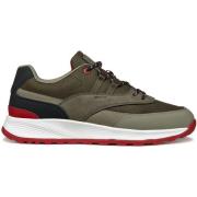 Sneakers Geox Baskets Terrestre A
