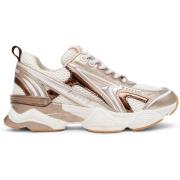 Sneakers Steve Madden Baskets femme Speedster-E