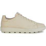 Sneakers Geox Baskets Spherica Ecub-1 C