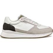 Sneakers Geox Baskets Branthon A