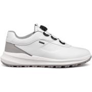 Sneakers Geox Baskets PG1X