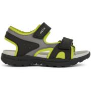 Sneakers Geox Baskets fille Vaniett
