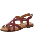 Sandalen Pikolinos -