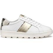 Sneakers Geox Baskets femme Spherica Ecub-1 A