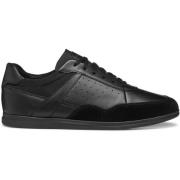 Sneakers Geox Baskets Renan C