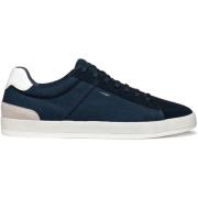 Sneakers Geox Baskets Serifos B