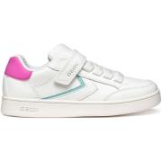 Sneakers Geox Baskets femme Eclyper