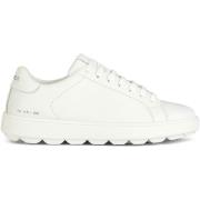 Sneakers Geox Baskets femme Spherica Ecub