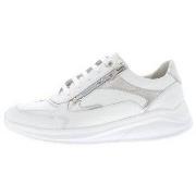 Sneakers Solidus Kitty