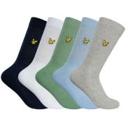 Socks Lyle &amp; Scott 5 paar Camdyn Premium Sportsokken