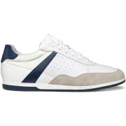 Sneakers Geox Baskets Renan C