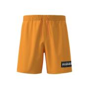 Korte Broek Napapijri Short Box
