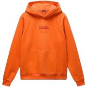 Sweater Napapijri Sweatshirt à capuche Cortona