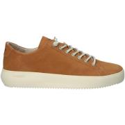 Sneakers Blackstone Baskets Morgan Low