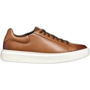 Sneakers Geox Baskets Deiven