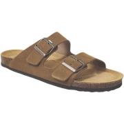 Slippers Plakton Barna