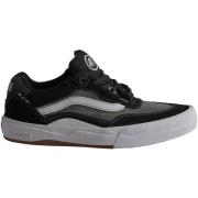 Lage Sneakers Vans VN0A5JIAY281-BLKWHT