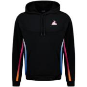 Sweater Le Coq Sportif Sweatshirt à capuche Contemporain LF N°1