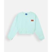 Sweater Oxbow Sweatshirt met kledingverf SEALAN