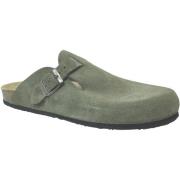 Klompen Plakton Blog