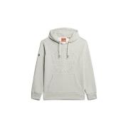 Sweater Superdry Sweatshirt à capuche à logo en relief