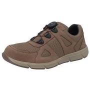 Sneakers Solidus Kai