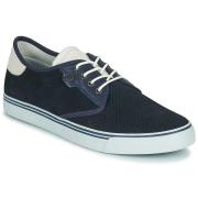 Lage Sneakers Lloyd ELISEO