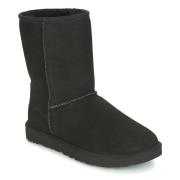 Laarzen UGG CLASSIC SHORT II