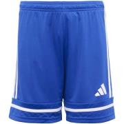 Korte Broek adidas Squa25 Sho Y