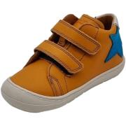 Sneakers Froddo -