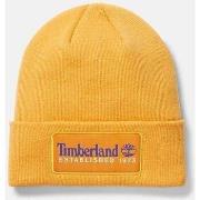Hoed Timberland TB0A2PTD ESTABLISHED 1973-804 ORANGE