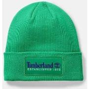 Hoed Timberland TB0A2PTD ESTABLISHED 1973-H31 CELTIC GREEN