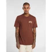 T-shirt Dickies AITKIN CHEST - DK0A4Y8O-K471 CAPPUCCINO