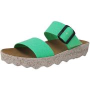 Klompen Asportuguesas -