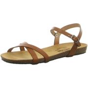 Sandalen Plakton -