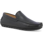 Mocassins Melluso U16012Z-244551