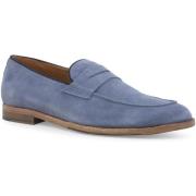 Mocassins Melluso U90308Z-248594