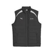 Donsjas Puma -