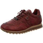 Sneakers Cetti -