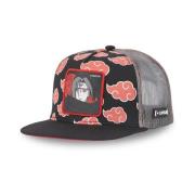 Pet Capslab CL/NC1/1/CASF/AKA2