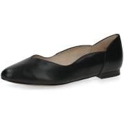 Ballerina's Caprice -