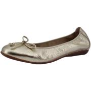 Ballerina's Wonders -