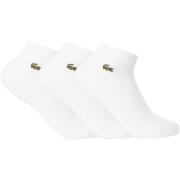Socks Lacoste Set van 3 lage sokken