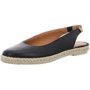 Ballerina's Verbenas -