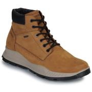 Laarzen IgI&amp;CO U.ELOY GTX