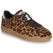 Lage Sneakers HOFF ALLEY LEOPARD WOMAN