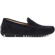 Mocassins Café Noir C1XN6916