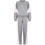 Trainingspak adidas Laziday Track Suit
